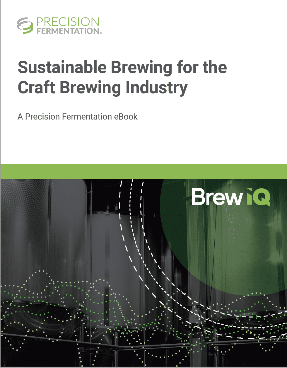 EBook: Sustainable Brewing For The Craft Brewing Industry | Precision ...